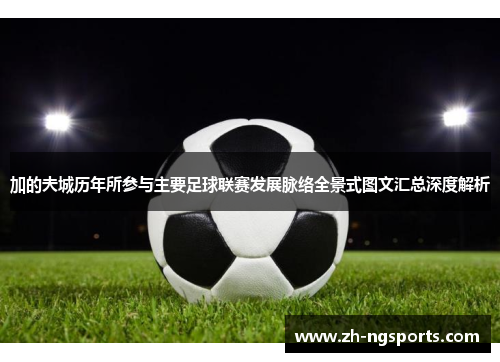 加的夫城历年所参与主要足球联赛发展脉络全景式图文汇总深度解析