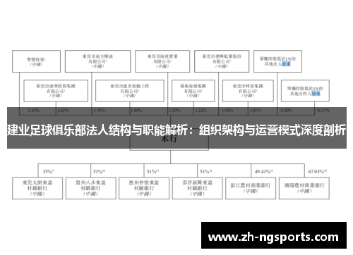 建业足球俱乐部法人结构与职能解析：组织架构与运营模式深度剖析