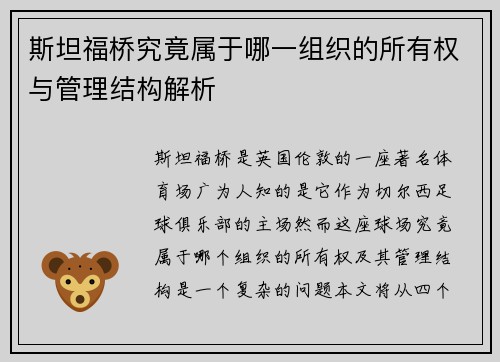 斯坦福桥究竟属于哪一组织的所有权与管理结构解析